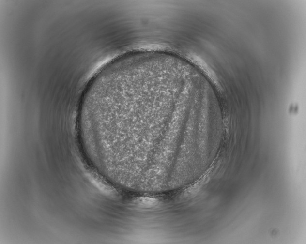 X0000094810159200711301559