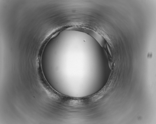 X0000094810160200711301559