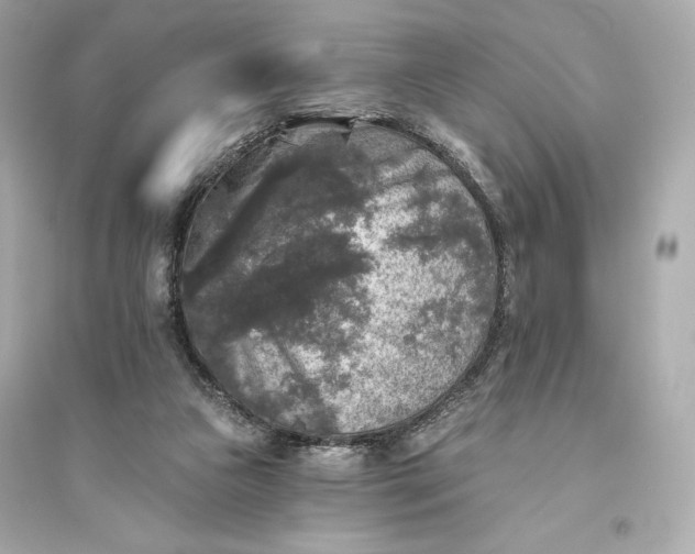 X0000094810161200711301559