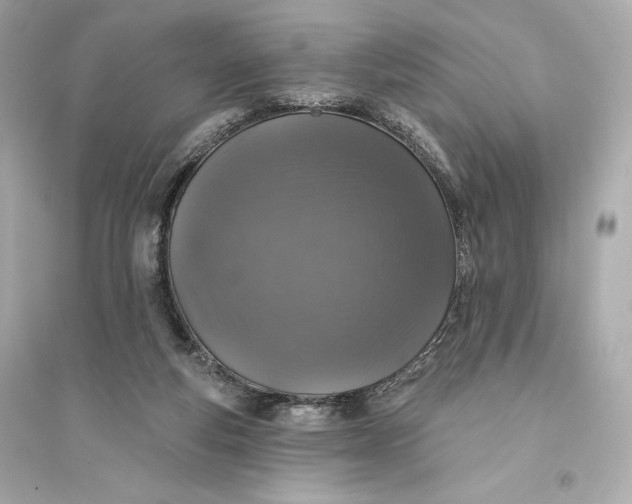 X0000094810163200711301559