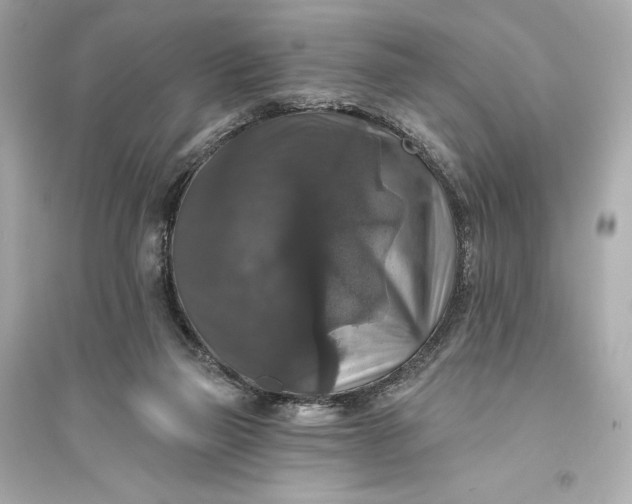 X0000094810165200711301559