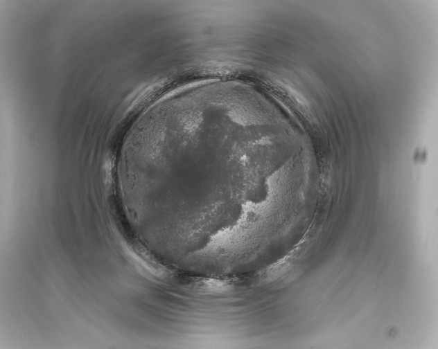 X0000094810166200711301559