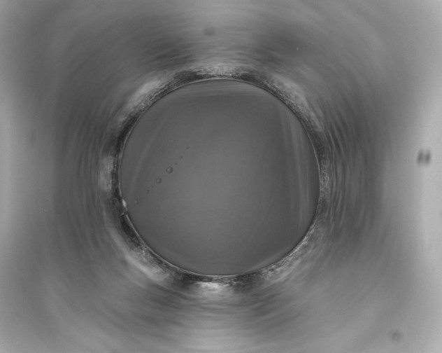 X0000094810167200711301559