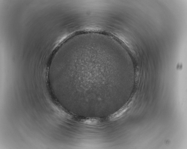 X0000094810168200711301559