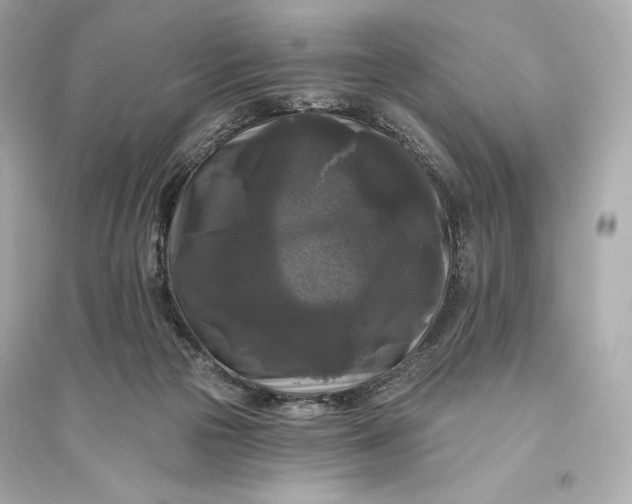 X0000094810169200711301559