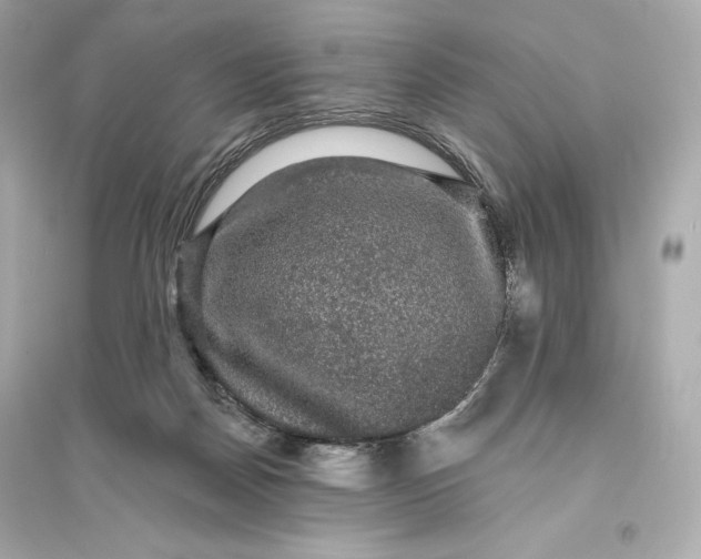 X0000094810170200711301559