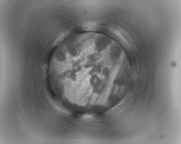 X0000094810171200711301559