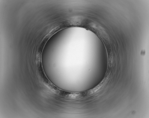 X0000094810172200711301559