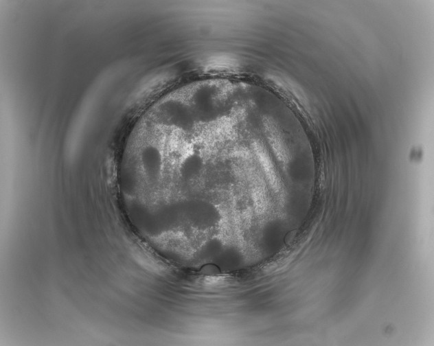 X0000094810173200711301559