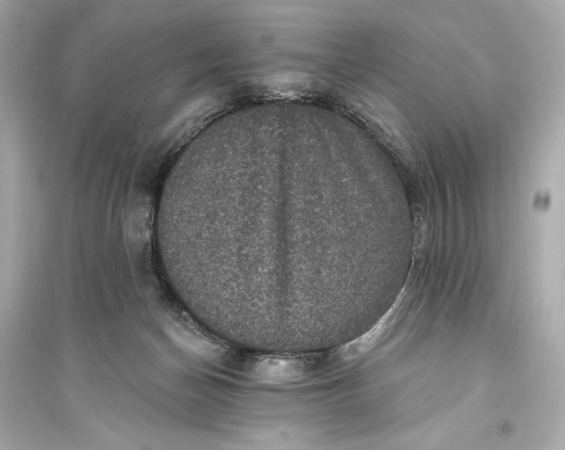 X0000094810174200711301559