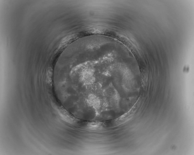 X0000094810175200711301559