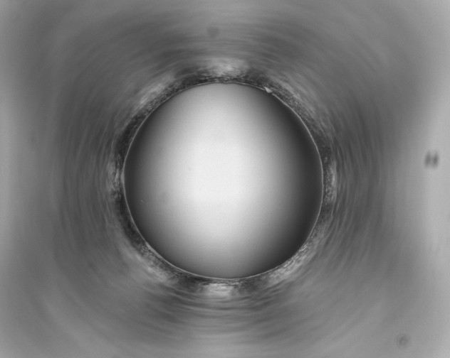 X0000094810176200711301559