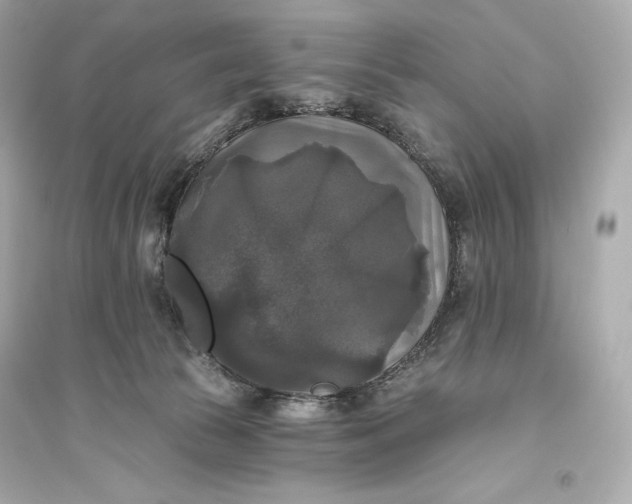 X0000094810177200711301559