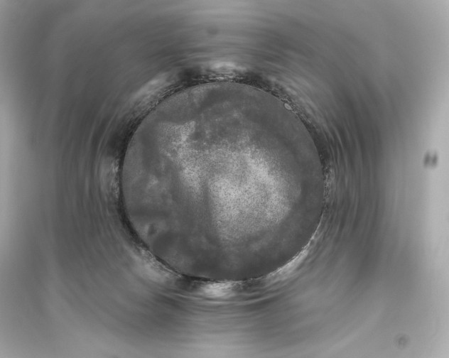 X0000094810178200711301559