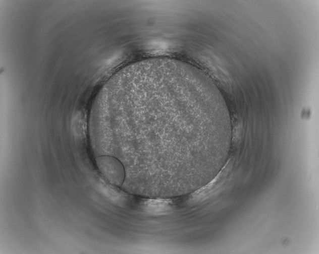 X0000094810179200711301559