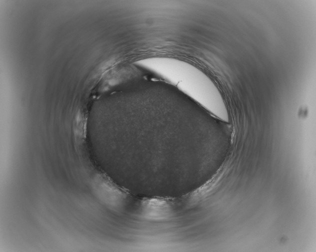 X0000094810180200711301559