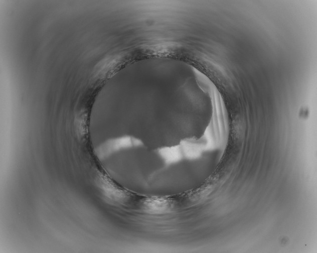 X0000094810181200711301559