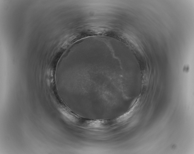 X0000094810182200711301559