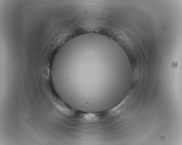 X0000094810183200711301559