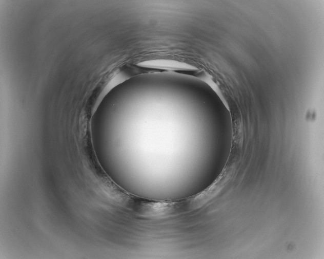 X0000094810184200711301600