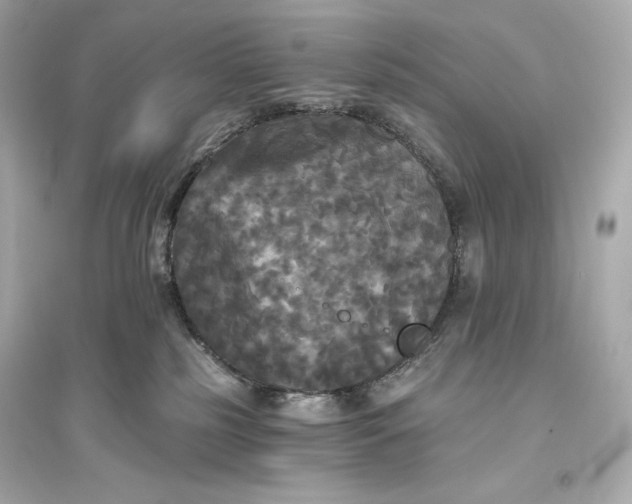 X0000094810185200711301600