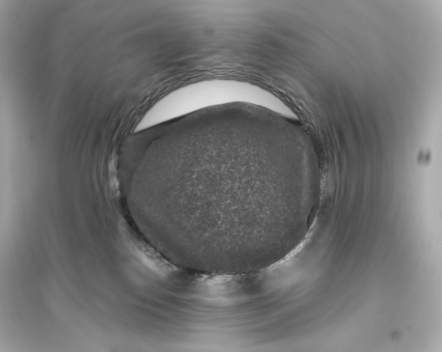 X0000094810186200711301600