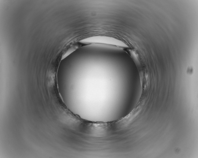 X0000094810188200711301600