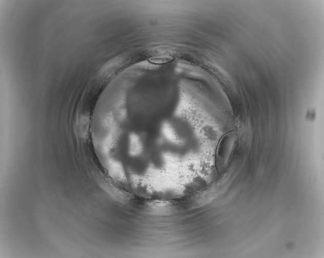 X0000094810189200711301600