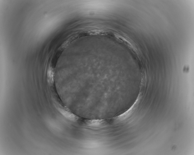 X0000094810191200711301600