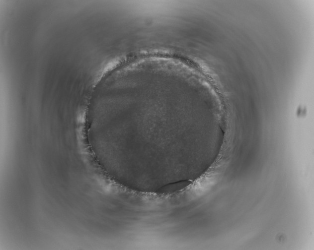 X0000094810192200711301600