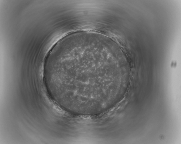 X0000094810194200711301559