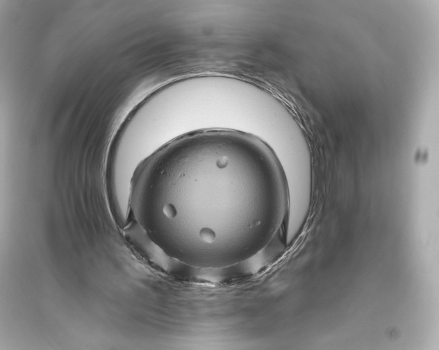 X0000094810195200711301559