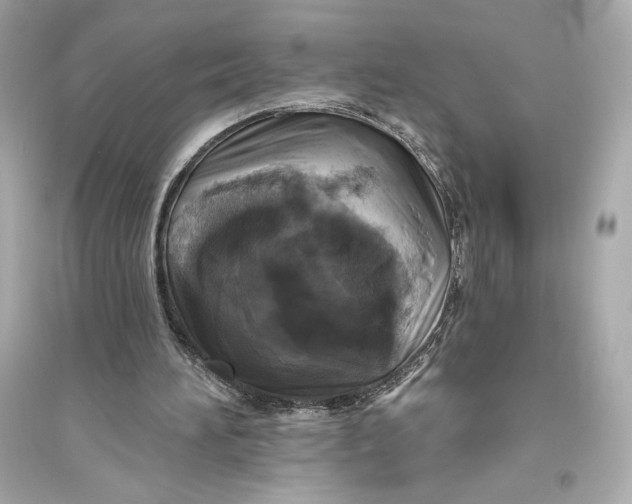 X0000094810196200711301559