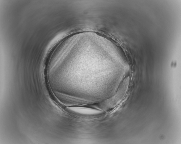 X0000094810197200711301559