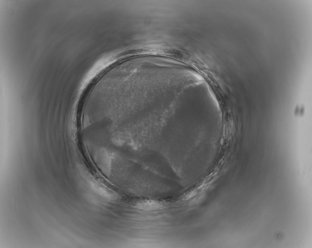 X0000094810198200711301559