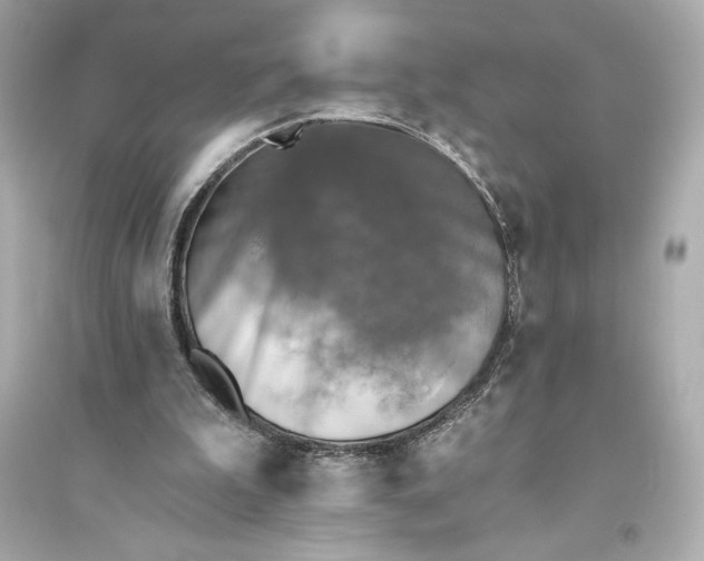 X0000094810199200711301559