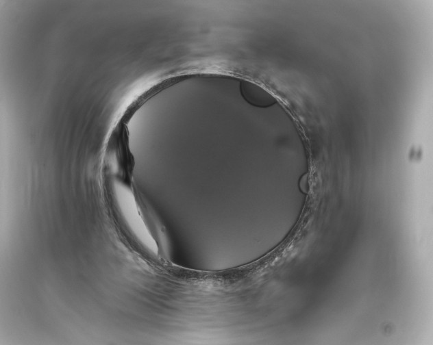 X0000094810200200711301559