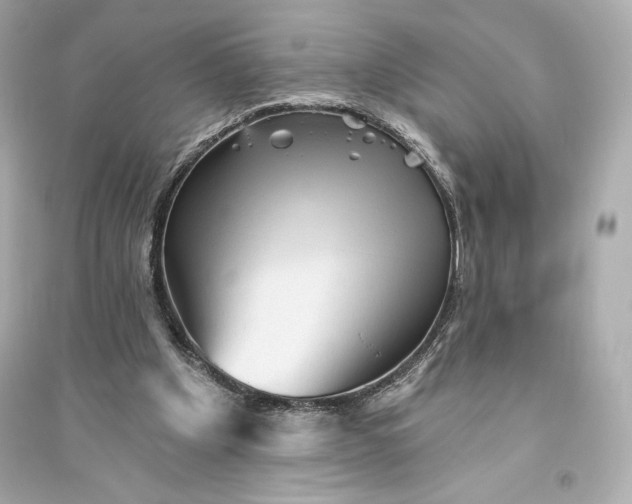 X0000094810201200711301559