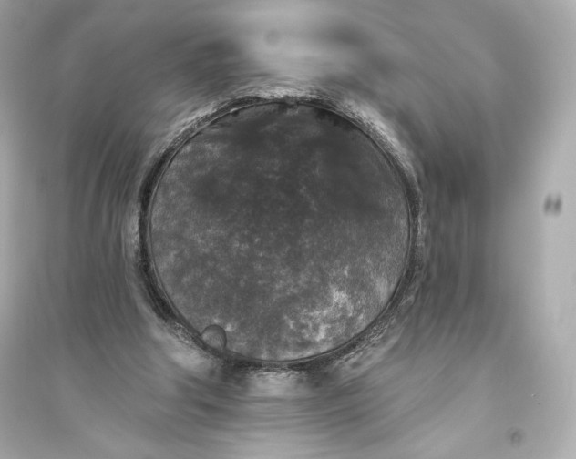 X0000094810202200711301559