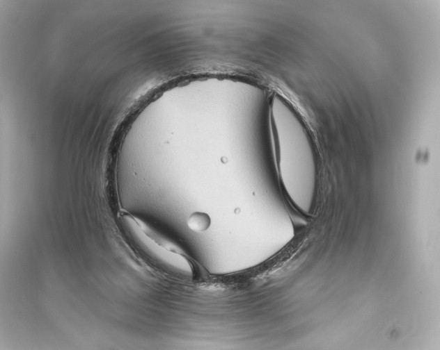 X0000094810203200711301559