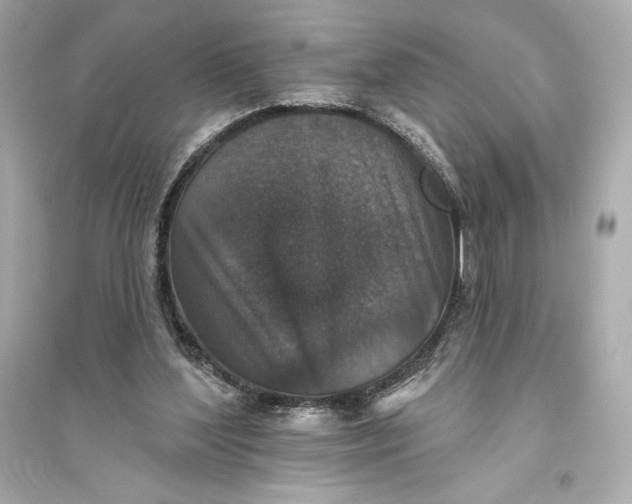 X0000094810204200711301559