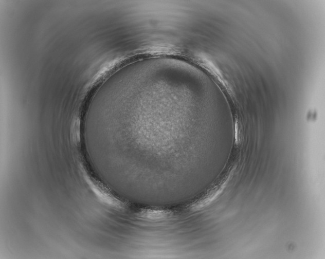 X0000094810205200711301559