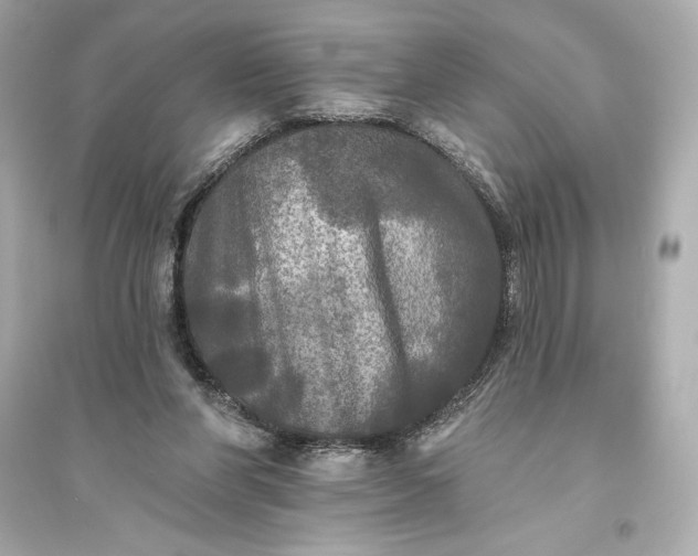 X0000094810206200711301559