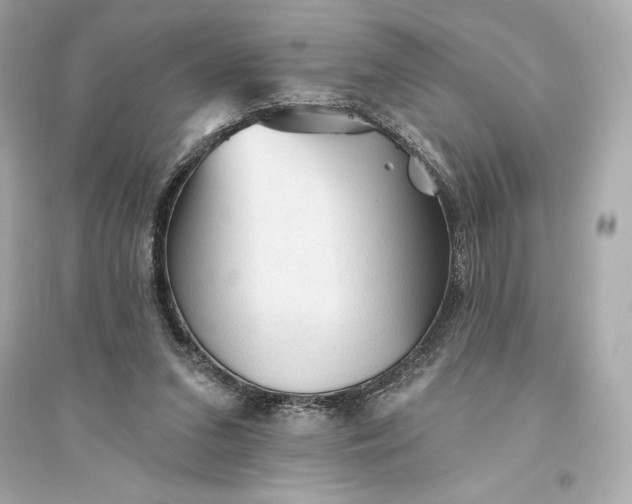 X0000094810207200711301559