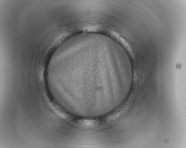 X0000094810209200711301559