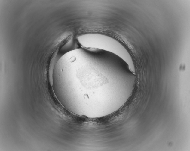 X0000094810211200711301559