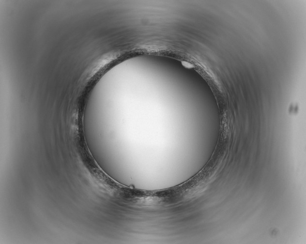 X0000094810212200711301559