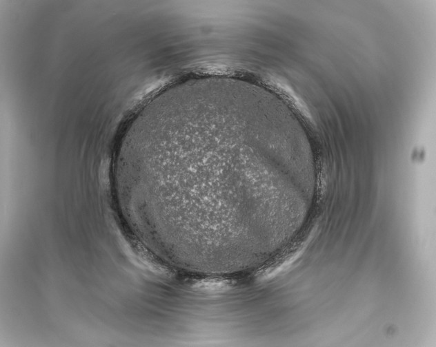 X0000094810213200711301559