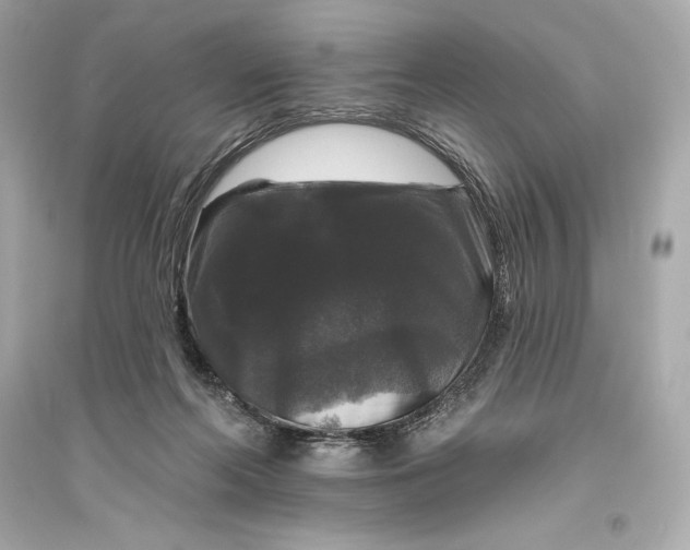 X0000094810214200711301559