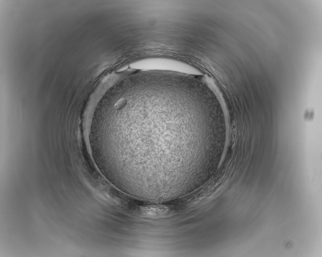 X0000094810215200711301559